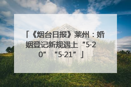 《烟台日报》莱州：婚姻登记新规遇上“5·20”“5·21”