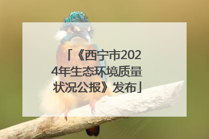 《西宁市2024年生态环境质量状况公报》发布