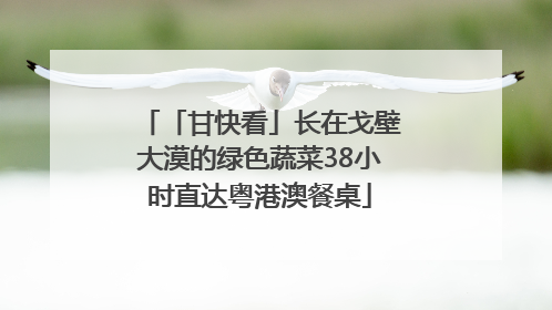 「甘快看」长在戈壁大漠的绿色蔬菜38小时直达粤港澳餐桌
