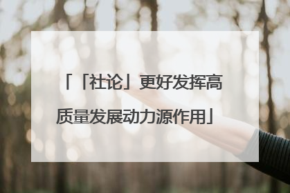 「社论」更好发挥高质量发展动力源作用