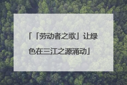 「劳动者之歌」让绿色在三江之源涌动
