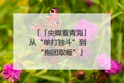 「央媒看青海」从“单打独斗”到“抱团取暖”