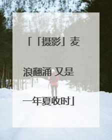 「摄影」麦浪翻涌 又是一年夏收时