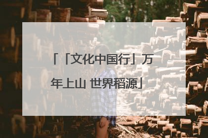 「文化中国行」万年上山 世界稻源