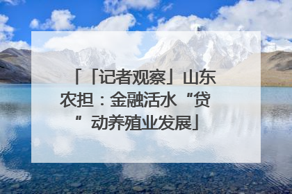 「记者观察」山东农担：金融活水“贷”动养殖业发展