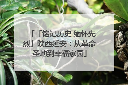「铭记历史 缅怀先烈」陕西延安：从革命圣地到幸福家园