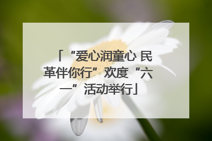 “爱心润童心 民革伴你行”欢度“六一”活动举行