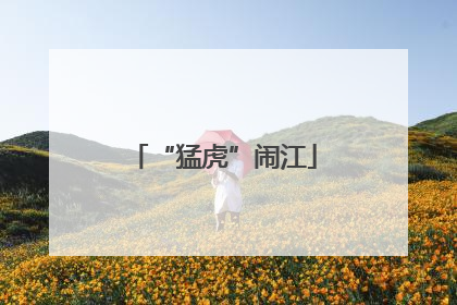 “猛虎”闹江