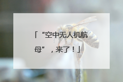 “空中无人机航母”，来了！