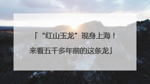 “红山玉龙”现身上海！来看五千多年前的这条龙
