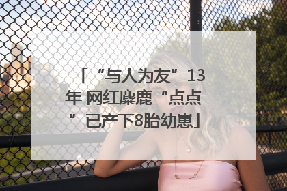 “与人为友”13年 网红麋鹿“点点”已产下8胎幼崽