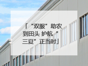 “双服”助农到田头 护航“三夏”正当时