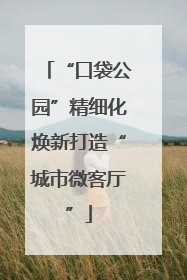 “口袋公园”精细化焕新打造“城市微客厅”