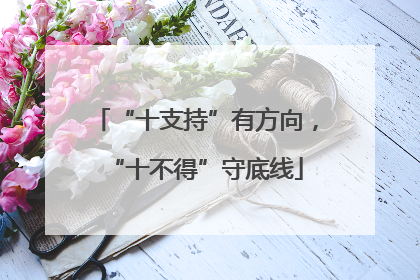 “十支持”有方向，“十不得”守底线