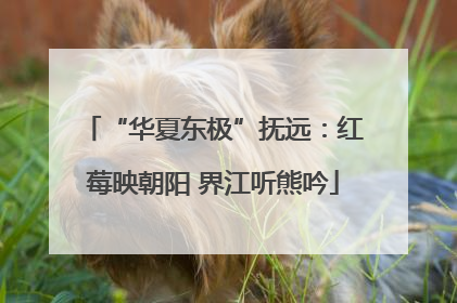 “华夏东极”抚远：红莓映朝阳 界江听熊吟