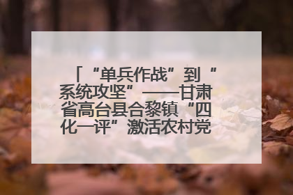 “单兵作战”到“系统攻坚”——甘肃省高台县合黎镇“四化一评”激活农村党员管理新引擎