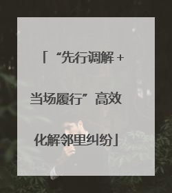 “先行调解＋当场履行”高效化解邻里纠纷