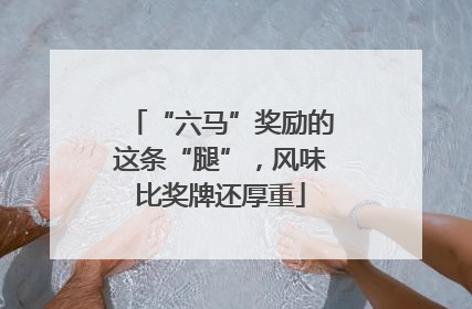 “六马”奖励的这条“腿”，风味比奖牌还厚重