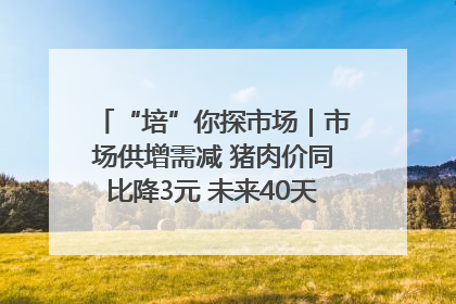 “培”你探市场｜市场供增需减 猪肉价同比降3元 未来40天便宜猪肉敞开吃