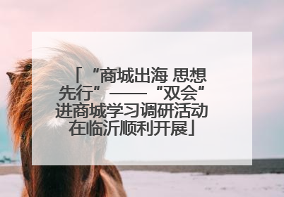 “商城出海 思想先行”——“双会”进商城学习调研活动在临沂顺利开展