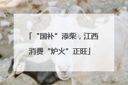 “国补”添柴，江西消费“炉火”正旺