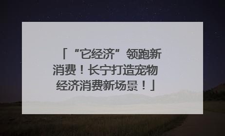 “它经济”领跑新消费！长宁打造宠物经济消费新场景！