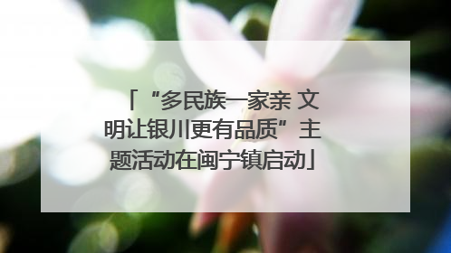 “多民族一家亲 文明让银川更有品质”主题活动在闽宁镇启动