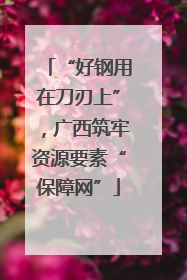 “好钢用在刀刃上”，广西筑牢资源要素“保障网”