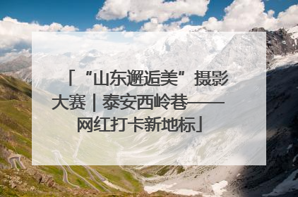 “山东邂逅美”摄影大赛｜泰安西岭巷——网红打卡新地标