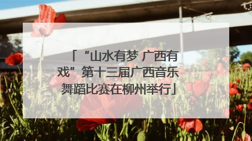 “山水有梦 广西有戏”第十三届广西音乐舞蹈比赛在柳州举行