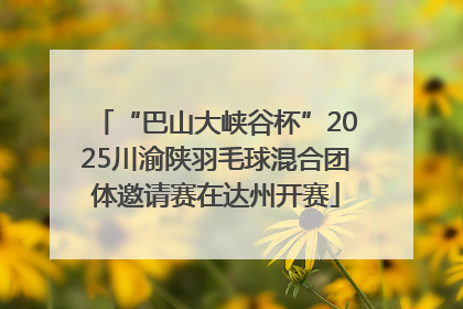 “巴山大峡谷杯”2025川渝陕羽毛球混合团体邀请赛在达州开赛