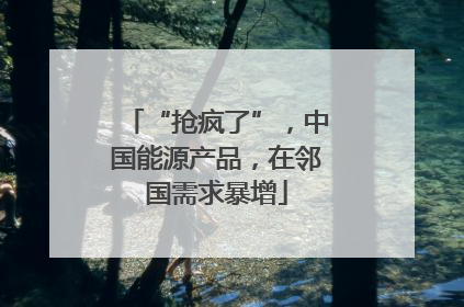 “抢疯了”，中国能源产品，在邻国需求暴增