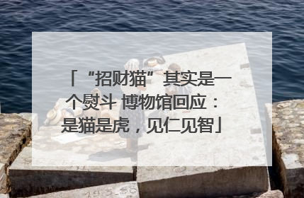 “招财猫”其实是一个熨斗 博物馆回应：是猫是虎，见仁见智