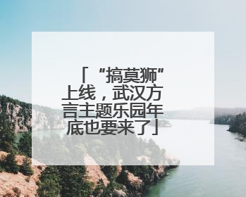 “搞莫狮”上线，武汉方言主题乐园年底也要来了