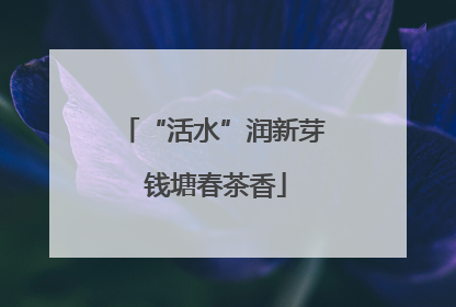 “活水”润新芽 钱塘春茶香
