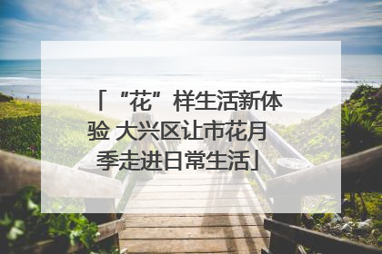“花”样生活新体验 大兴区让市花月季走进日常生活