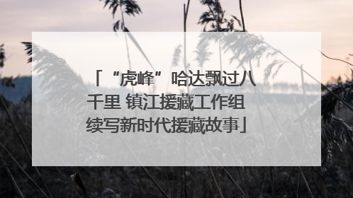 “虎峰”哈达飘过八千里 镇江援藏工作组续写新时代援藏故事