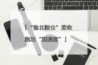 “豫北粮仓”麦收跑出“加速度”