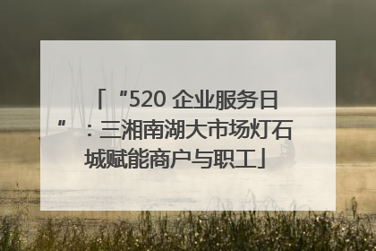 “520 企业服务日”：三湘南湖大市场灯石城赋能商户与职工