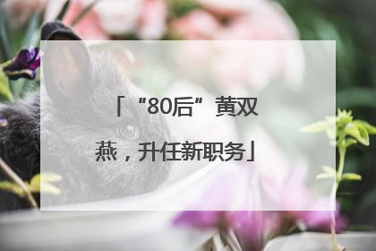 “80后”黄双燕，升任新职务