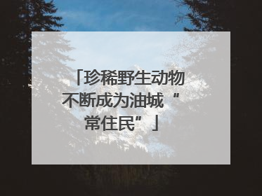 珍稀野生动物不断成为油城“常住民”