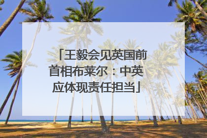 王毅会见英国前首相布莱尔：中英应体现责任担当