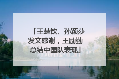 王楚钦、孙颖莎发文感谢，王励勤总结中国队表现