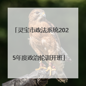灵宝市政法系统2025年度政治轮训开班
