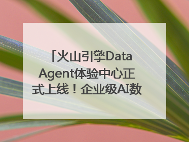 火山引擎Data Agent体验中心正式上线！企业级AI数据专家触手可及