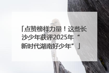 点赞榜样力量！这些长沙少年获评2025年“新时代湖南好少年”
