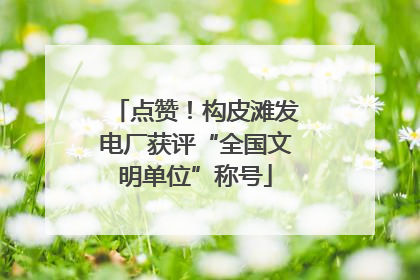 点赞！构皮滩发电厂获评“全国文明单位”称号