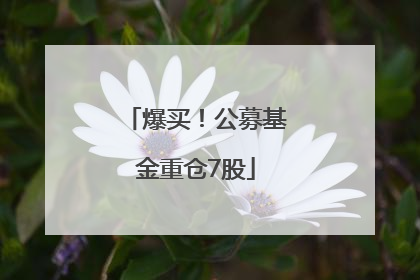 爆买！公募基金重仓7股