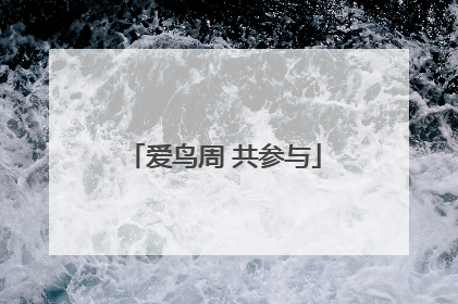 爱鸟周 共参与