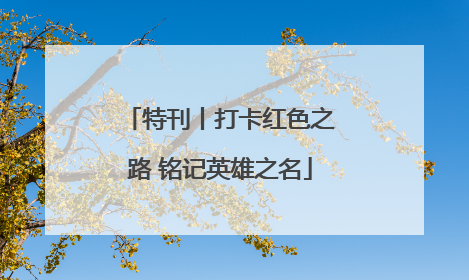 特刊丨打卡红色之路 铭记英雄之名